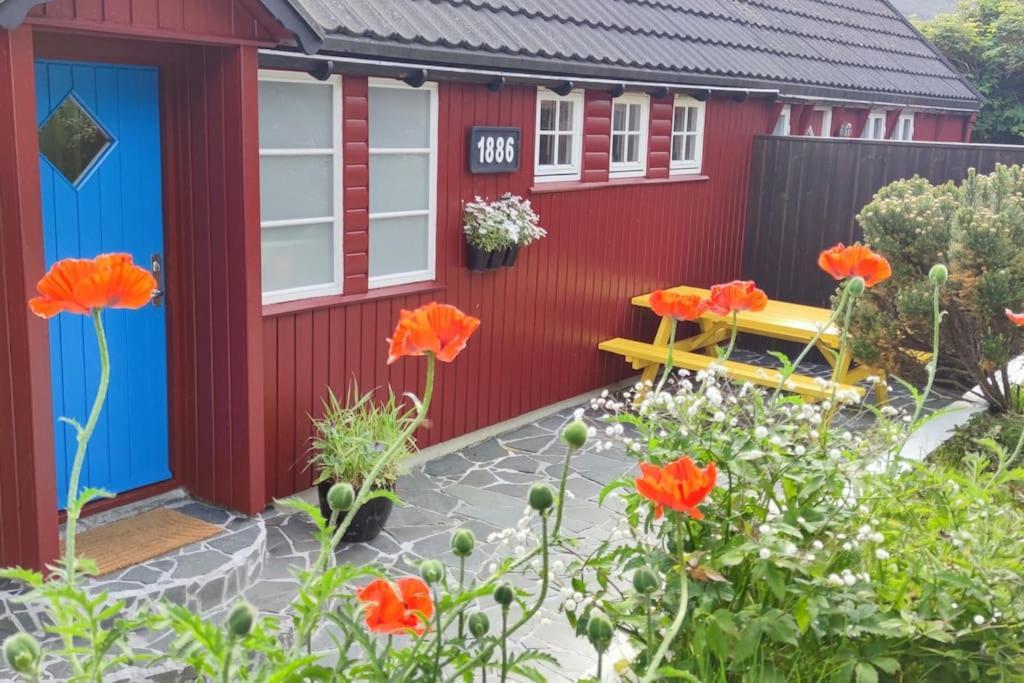 Cozy Cottage Klaksvík Exteriör bild
